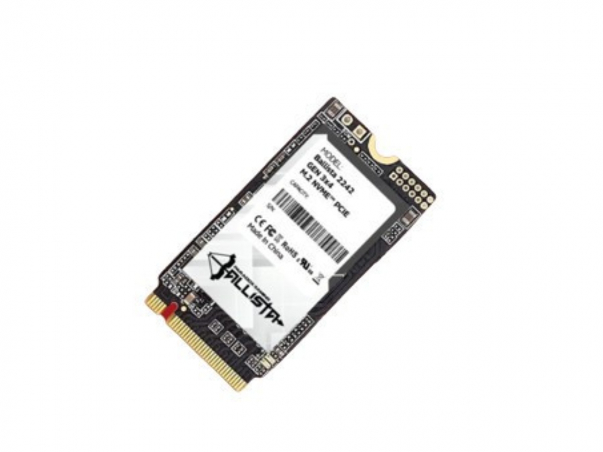 Paradox gaming ballista ssd 512gb m 2 nvme 2242 r w up to 1900 1600